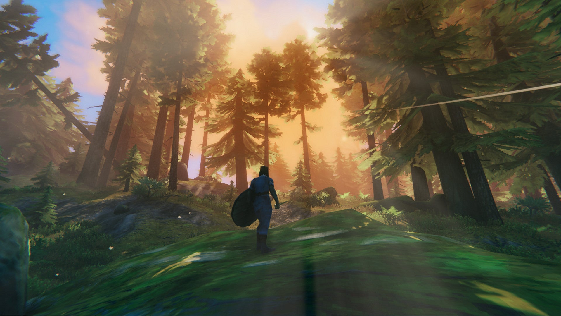 A Valheim screenshot of a player holding a shield and looking into a Black Forest biome.